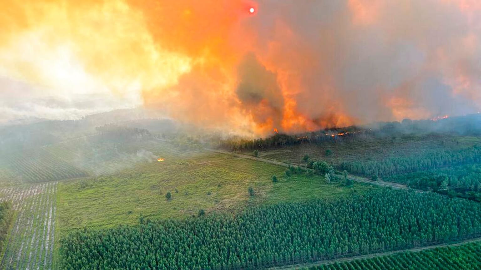 France Wildfires