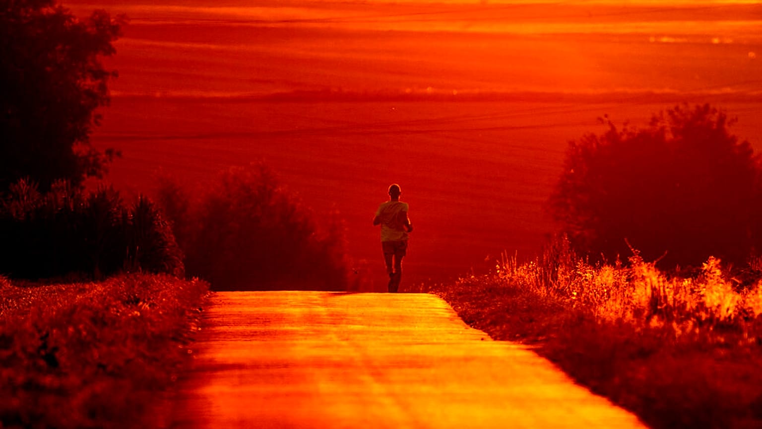 Un homme profite de la fraîcheur du matin pour courir près de Francfort, en Allemagne, (Juillet 2022)2