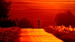 Un homme profite de la fraîcheur du matin pour courir près de Francfort, en Allemagne, (Juillet 2022)2