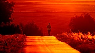 Un homme profite de la fraîcheur du matin pour courir près de Francfort, en Allemagne, (Juillet 2022)2