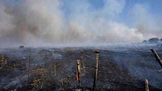 Incendio en Tabara (Zamora), España