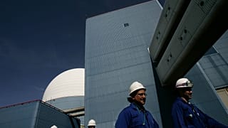 Sizewell B reaktörü 1995'te hizmete girmişti