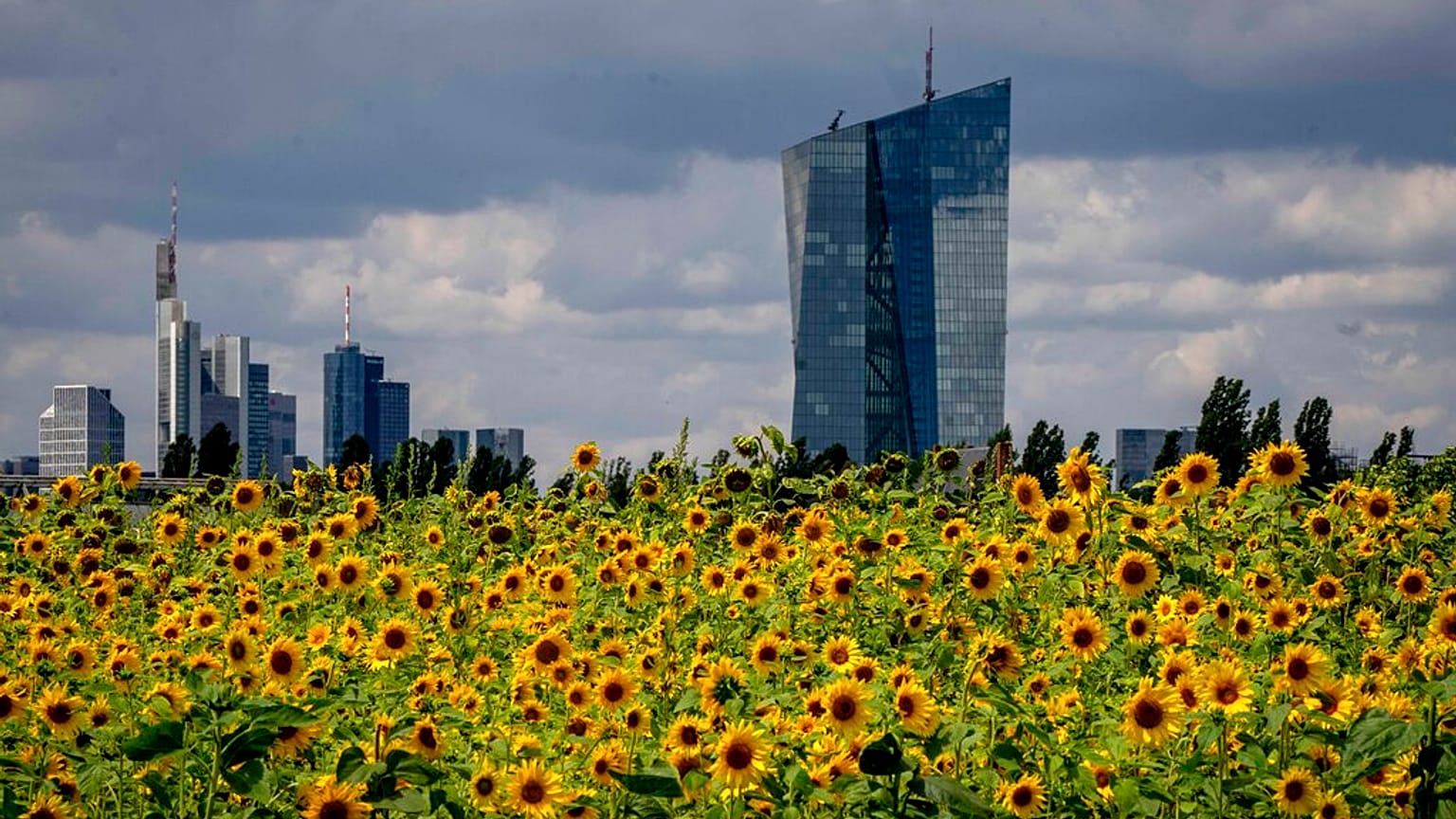 La Banque Centrale Européenne le 21 juillet 2022