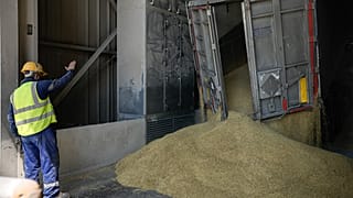 Un employé d'un opérateur roumain de manutention de céréales supervise le déchargement de céréales dans le port de la mer Noire de Constanta, en Roumanie, mardi 21 juin 2022.