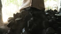 Briquettes de charbon