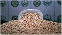   حبوب كبتاغون صادرتها مديرية مكافحة المخدرات بوزارة الداخلية السعودية-2022