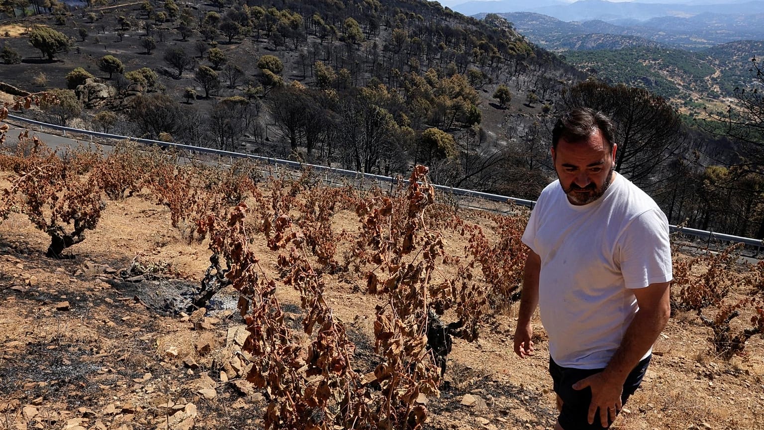 Jesus Soto in his fire scorched vineyards in Spain