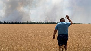 Украинским фермерам негде хранить урожай, посевы зерновых могут резко сократиться.