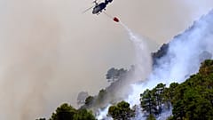 Wald in Flammen