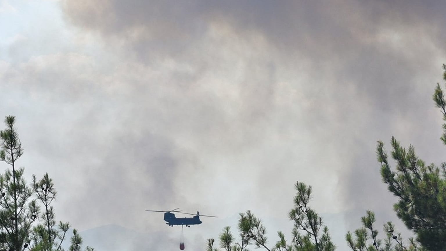 Πυρκαγιά στο Δάσος της Δαδιάς