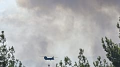 Πυρκαγιά στο Δάσος της Δαδιάς