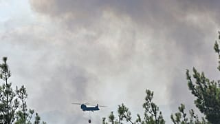 Πυρκαγιά στο Δάσος της Δαδιάς
