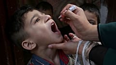 Polio-Viren in New York entdeckt