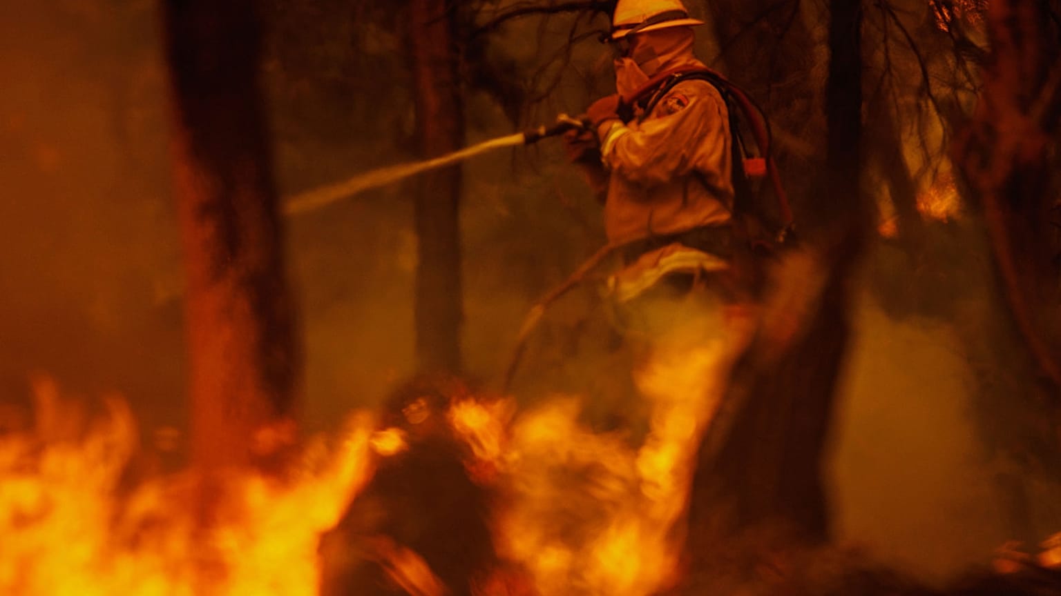Die Feuerwehr kämpft seit Tagen gegen die Flammen - ohne größeren Erfolg.