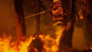 Die Feuerwehr kämpft seit Tagen gegen die Flammen - ohne größeren Erfolg.
