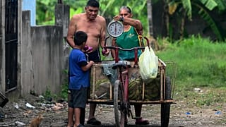 Chamalecon a San Pedro Sula