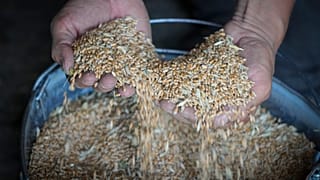 По данным СМИ, в украинских портах заблокированы около 20 млн тонн зерна