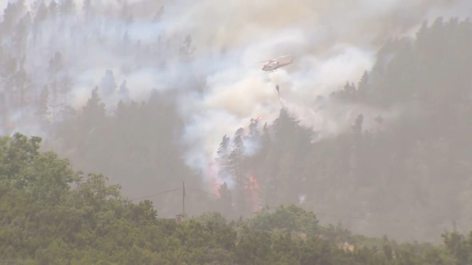 Extinción del fuego en el entorno de Los Realejos, en la isla canaria de Tenerife