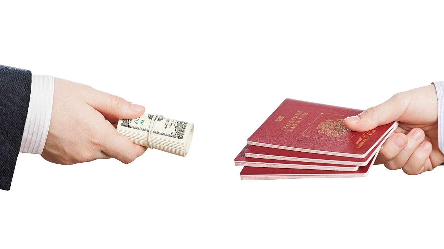 عکس تزئینی است