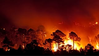A forest fire in Guadalajara (Spain). A tree-planting company caused a similar blaze last week.