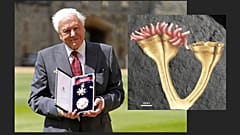 Attenborough és a róla elnevezett fosszília