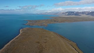 Arctic aereals