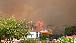Φωτογραφία αρχείου από τη φωτιά στα Βατερά Μυτιλήνης 