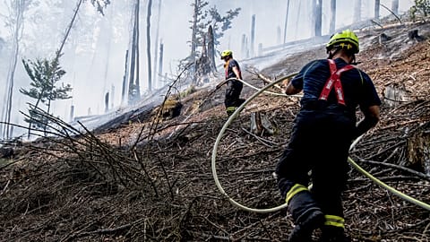 Löscharbeiten in der Böhmischen Schweiz