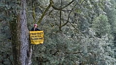 Campaigners maintained a blockade for 550 days until earlier this month, stopping the mining company commencing work on the dam.