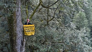 Campaigners maintained a blockade for 550 days until earlier this month, stopping the mining company commencing work on the dam.