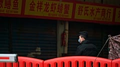 Origem do surto de Covid-19 é o mercado de peixe de Wuhan 