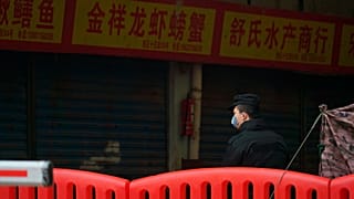 Origem do surto de Covid-19 é o mercado de peixe de Wuhan