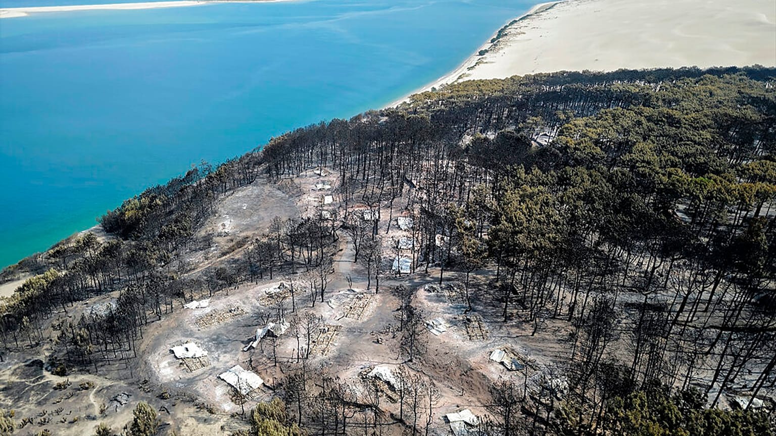 Terreno forestal calcinado en Francia