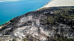 Die Waldbrände richteten verheerende Schäden an.