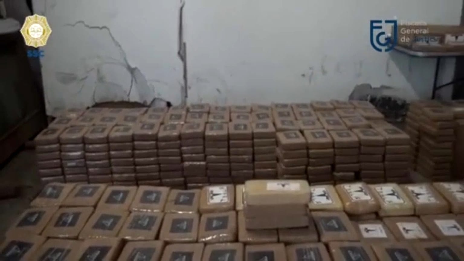 Paquetes de cocaína pertenecientes al alijo incautado. 