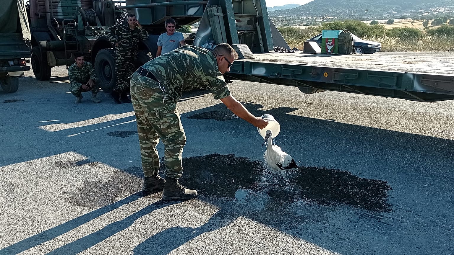 Στρατιωτικός διασώζει πελαργό