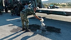 Στρατιωτικός διασώζει πελαργό
