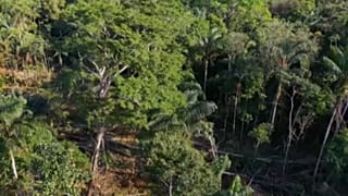 Earth Overshoot Day 2022