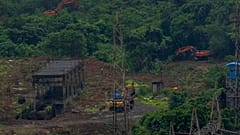 Umstrittene Rodung in Mumbai: Nachwachsende Ressourcen wie Holz sind für dieses Jahr verbraucht.