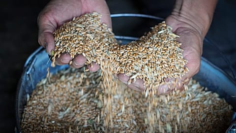 Russia and Ukraine together provide over 25% of the world's wheat.