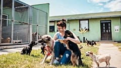 Dog shelter