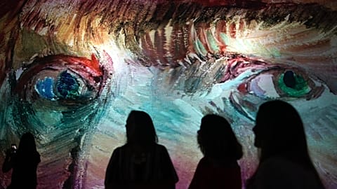 Van Gogh Alive in Rio