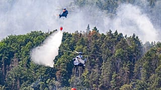 Europe : sur le front des incendies.