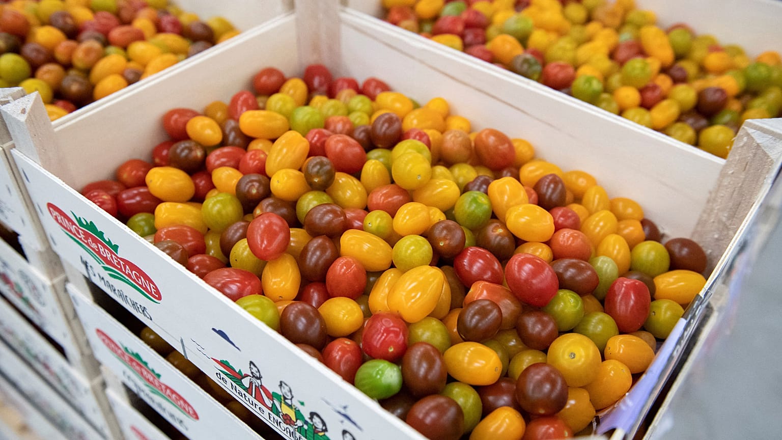 Archives : cagettes de tomates dans une coopérative agricole de Saint-Pol-de-Léon, en Bretagne dans l'ouest de la France, le 31 mai 2022