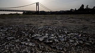 Archives : le lit de la Loire asséché, observé à Ancenis, dans l'ouest de la France, le 17 juillet 2022