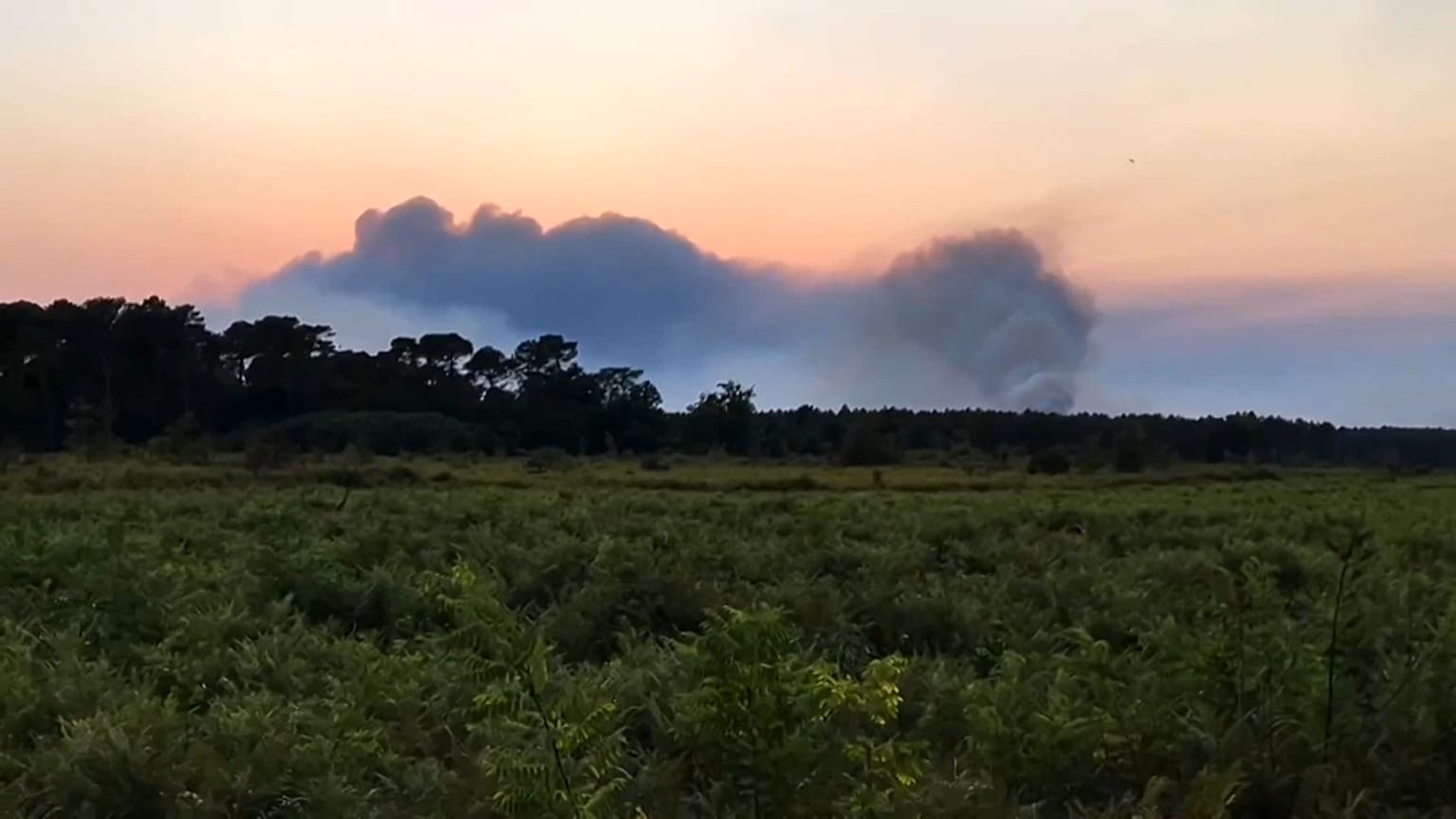 Un incendio nelle foreste della Georgia