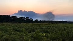 Un incendio nelle foreste della Georgia