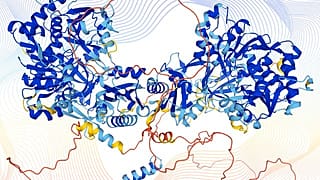 A human protein structure
