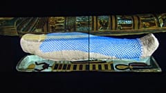La exposición estará abierta al público hasta el 26 de octubre de 2022 en el CaixaForum Madrid.