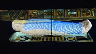 La exposición estará abierta al público hasta el 26 de octubre de 2022 en el CaixaForum Madrid.